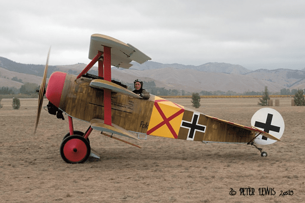 WOW295 Fokker Dr.I 'Werner Steinhauser'