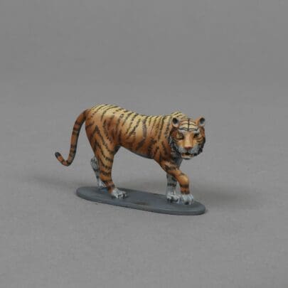 ACC PACK 099B Tiger with Grey Base
