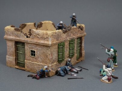 ACCPACK138 North African/Middle East House